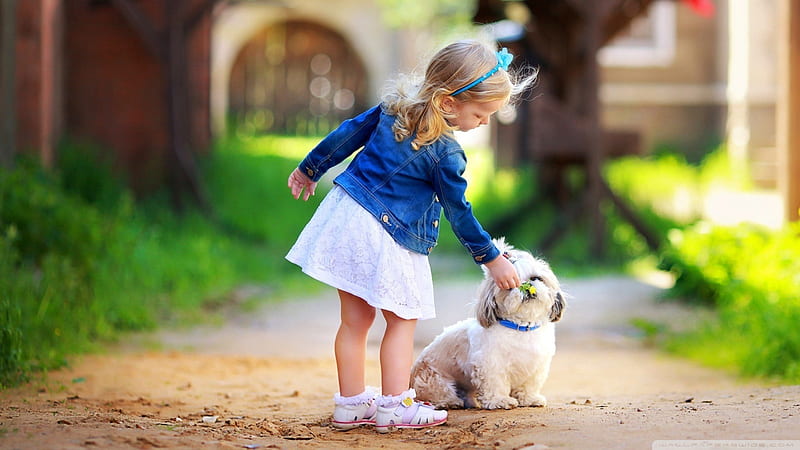 Cute Baby Girl Is Playing With White Puppy Wearing White Dress With Blue Coat In Blur Background Cute, HD wallpaper