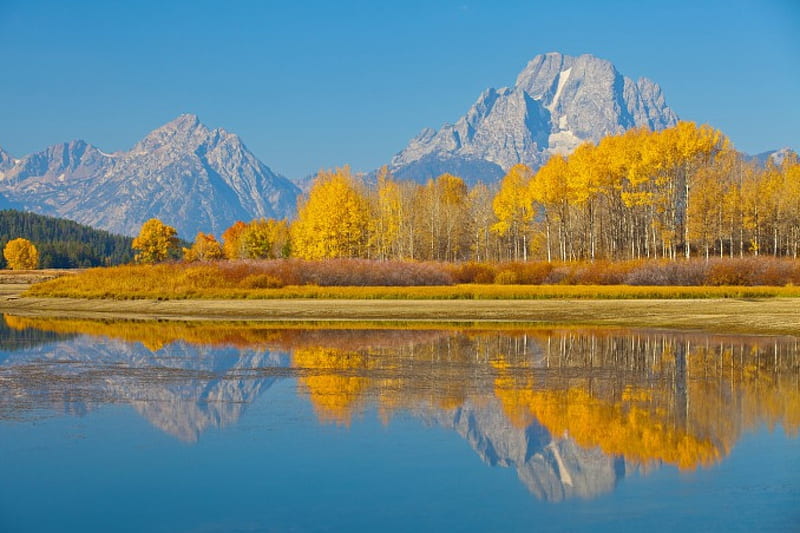 * Grand Teton National Park-WYOMING *, forest, nature, trees, lake, HD ...