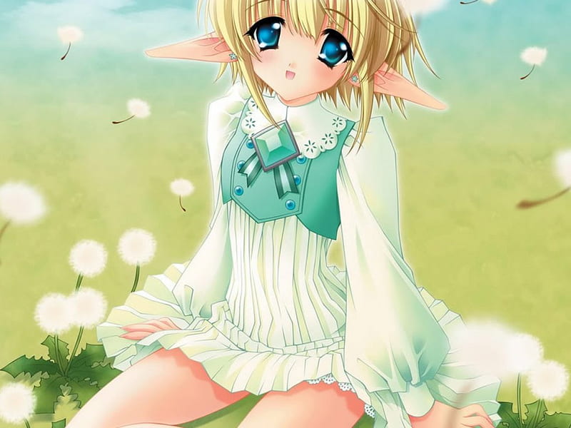 anime elf, anime, elf, HD wallpaper anime elf, anime, elf, HD wallpaper