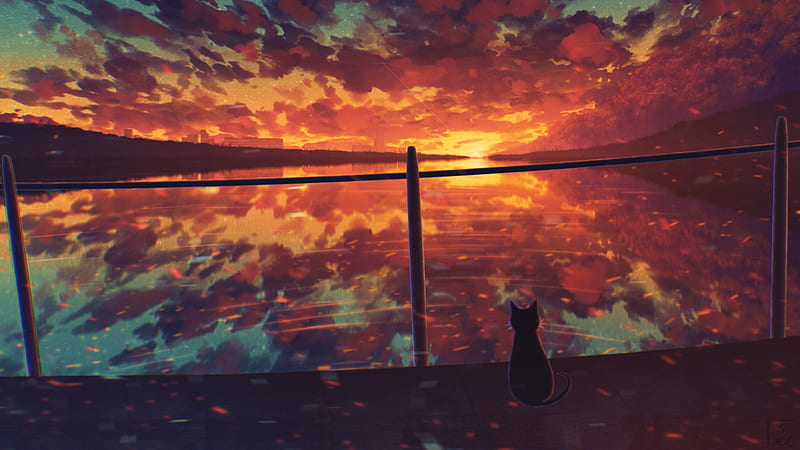 Anime, Original, Cat, Sunset, Water, HD wallpaper | Peakpx