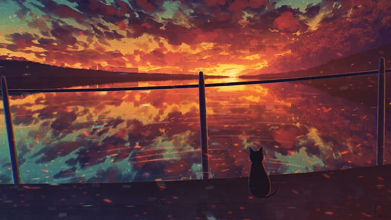 Anime, Water, Sunset, Cat, HD wallpaper | Peakpx