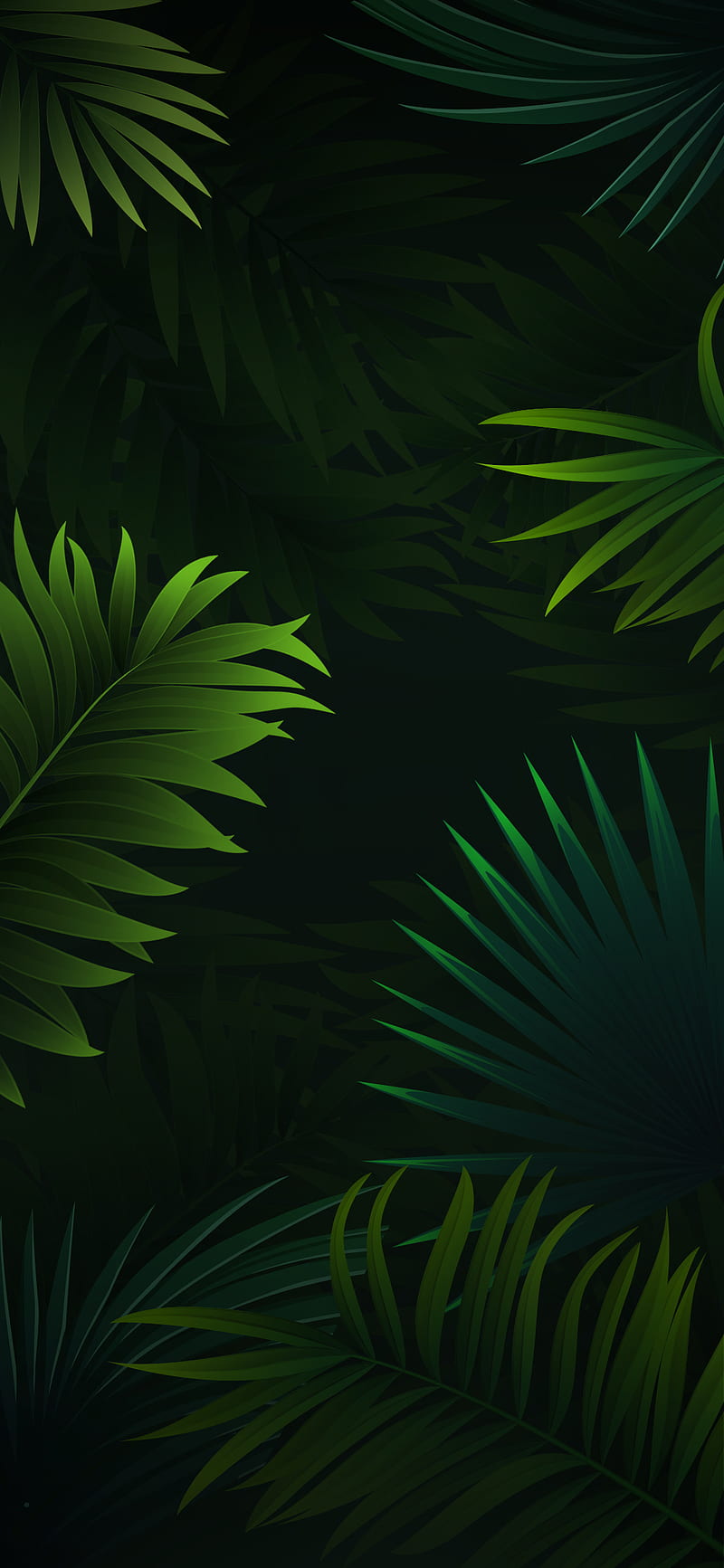 Vivo X23, tropical, tree, HD phone wallpaper