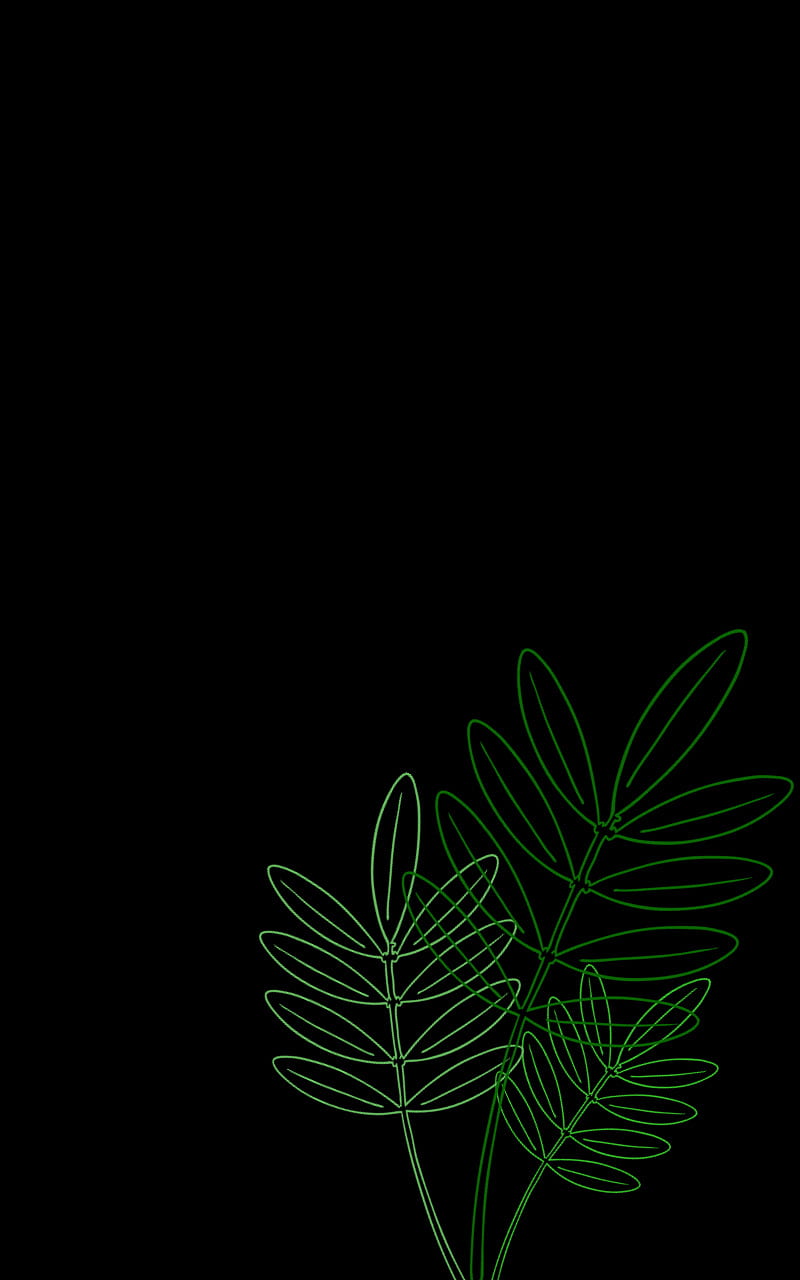 Green leaves, black, forest, green, leaves, nature, plants, simple, HD  phone wallpaper | Peakpx