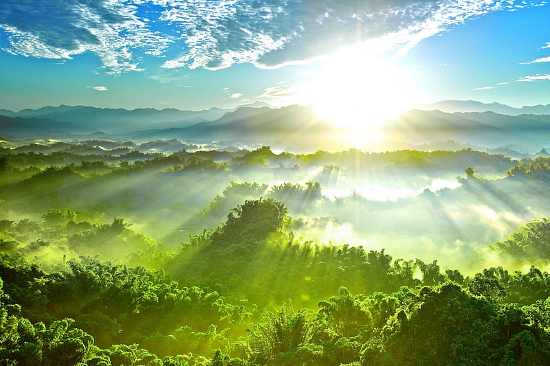 Green Jungle Splendor, foggy, sun, sunset, clouds, beautiful day, fog, afternoon, nice, splendor, mounts, shadows, jungle, beauty, sunrise, forests, evening, morning, wood, sunbeam, dawn, sky, trees, sunrays, cool, mountains, awesome, sunshine, white, landscape, scenic, sunny, bonito, silver, graphy, leaves, green, scenery, magnificent, ins, blue, amazing, horizon, view, leaf, day, nature, natural, scene, HD wallpaper