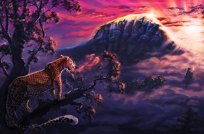 Sunrise, leopard, art, fantasy, arven92, pink, animal, blue, HD wallpaper