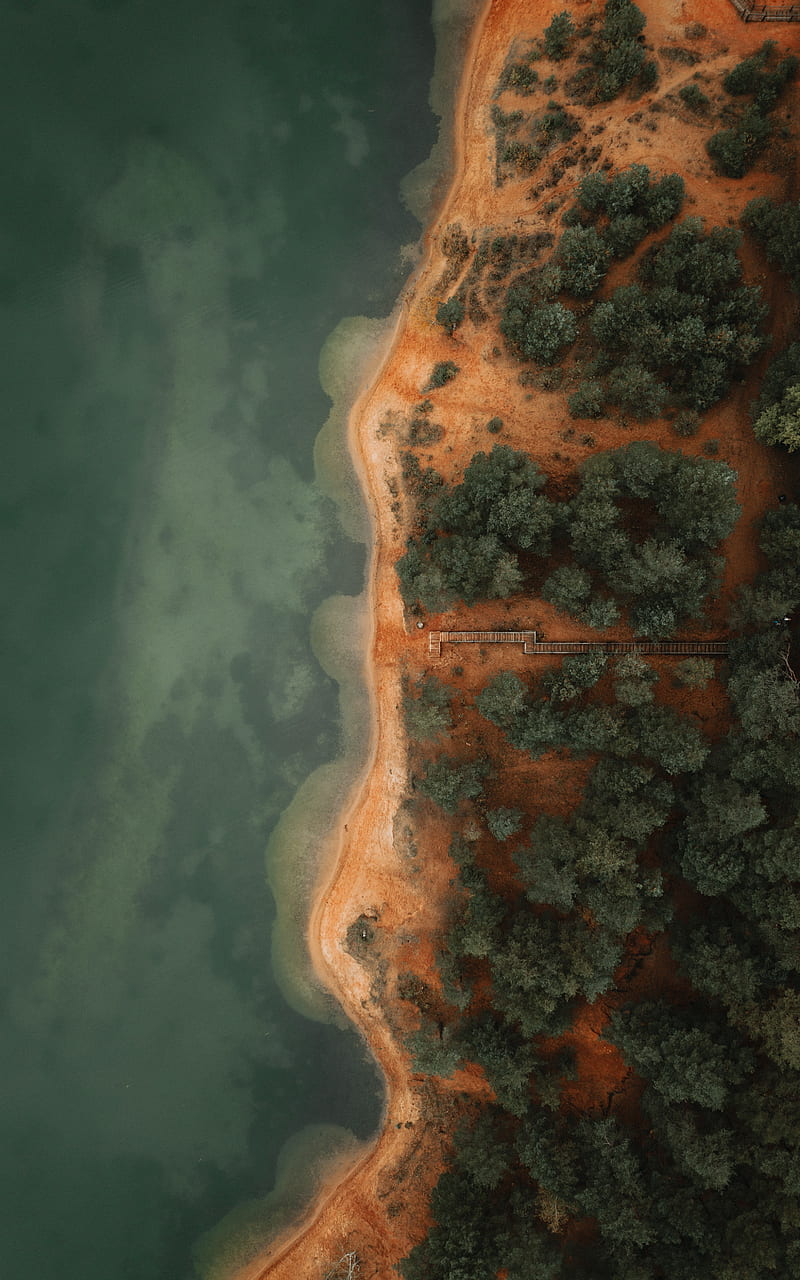 coast, aerial view, trees, beach, HD phone wallpaper