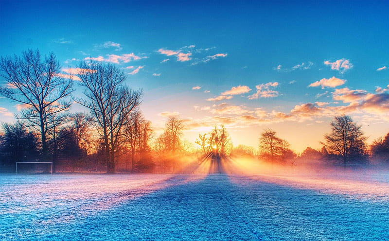 Glorious Sunset, sun, snow, trees, sky, landscape, HD wallpaper