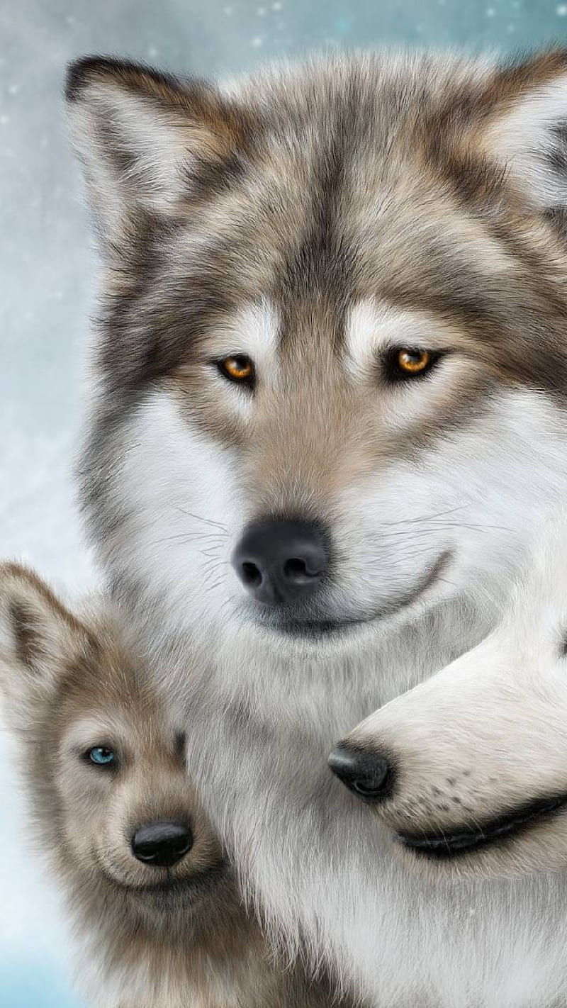 Wolves 4, animals, HD phone wallpaper