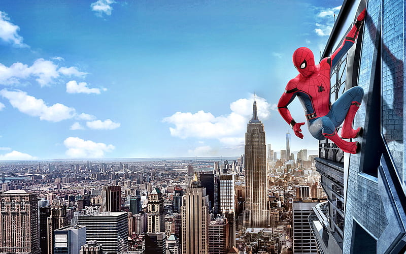 Spiderman Homecoming , spiderman-homecoming, spiderman, 2017-movies, movies, tom-holland, HD wallpaper