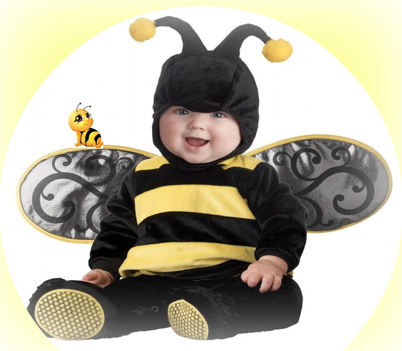 Abeja bebé, lindo, amarillo, bebé, negro, blanco, alas, abeja, Fondo de  pantalla HD | Peakpx
