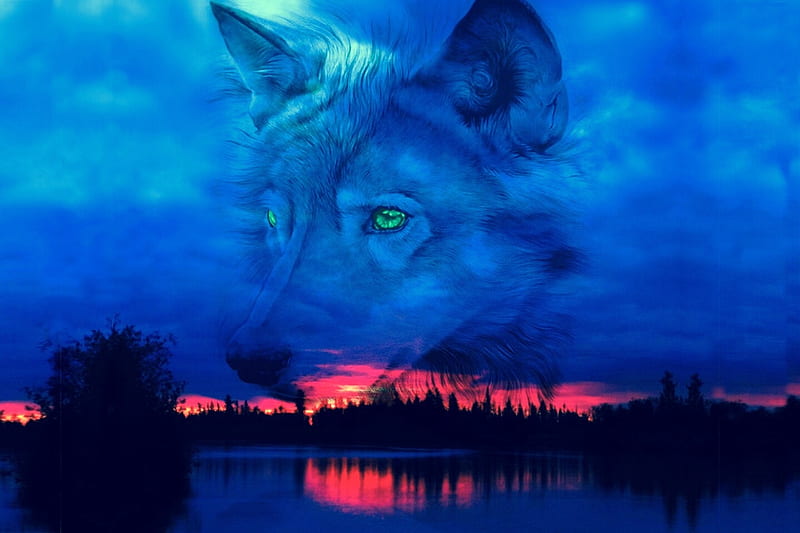 Fantasy Wolf Silouette, Clouds, nature, sunset, eyes, Wolf, lake, animals, blue, HD wallpaper