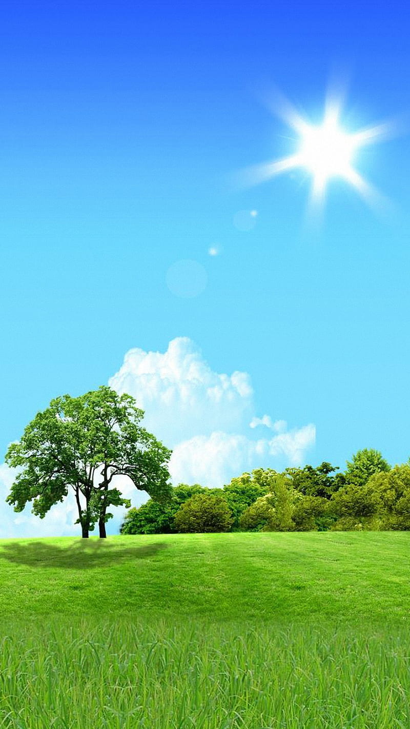 Live, green life, sunshine, tree, HD phone wallpaper