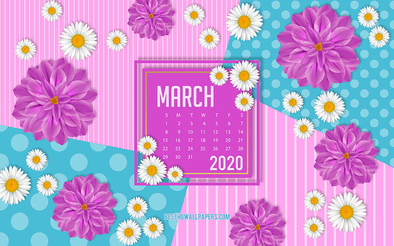  Calendario de marzo de  , rosa de primavera, calendarios de primavera de  , Fondo de pantalla HD
