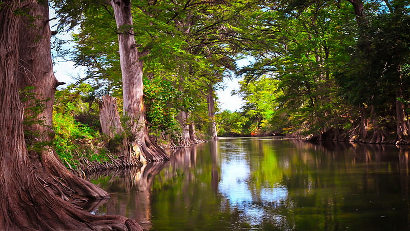 1920x1080px, 1080P free download | River through the Forest - r, water ...