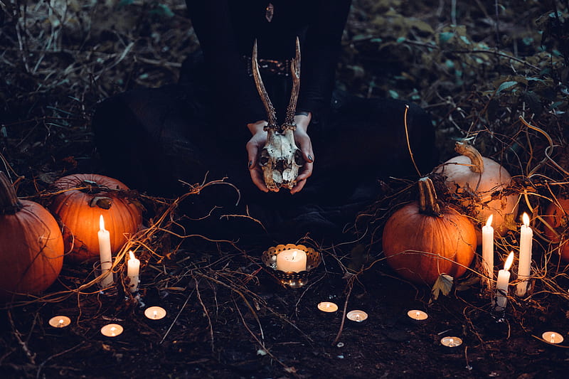 person holding cattle skull surrounded by squash and candles, HD wallpaper