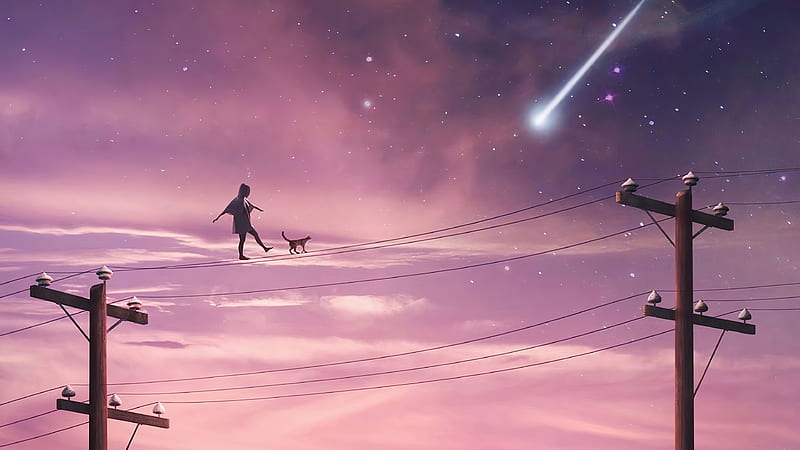Walking on lines, kumoscape, sky, cat, silhouette, star, pinj, frumusete, luminos, view from down, fantasy, girl, HD wallpaper