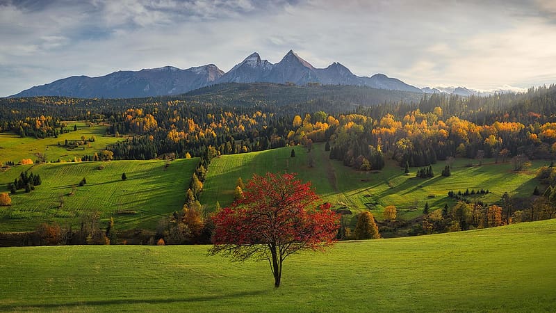 Fall colors in the foothills of the Tatra Mountains, Slovakia, leaves, clouds, landscape, trees, autumn, sky, HD wallpaper