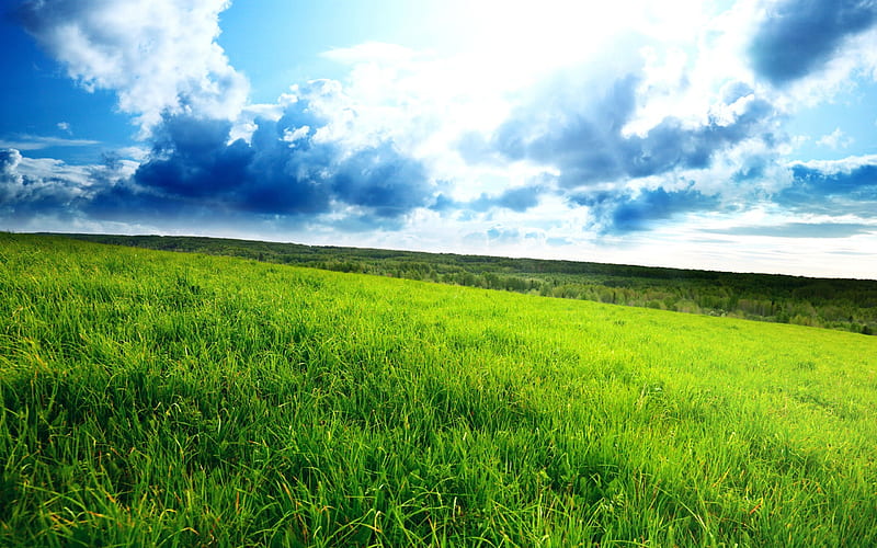 green hill-Beautiful natural scenery, HD wallpaper