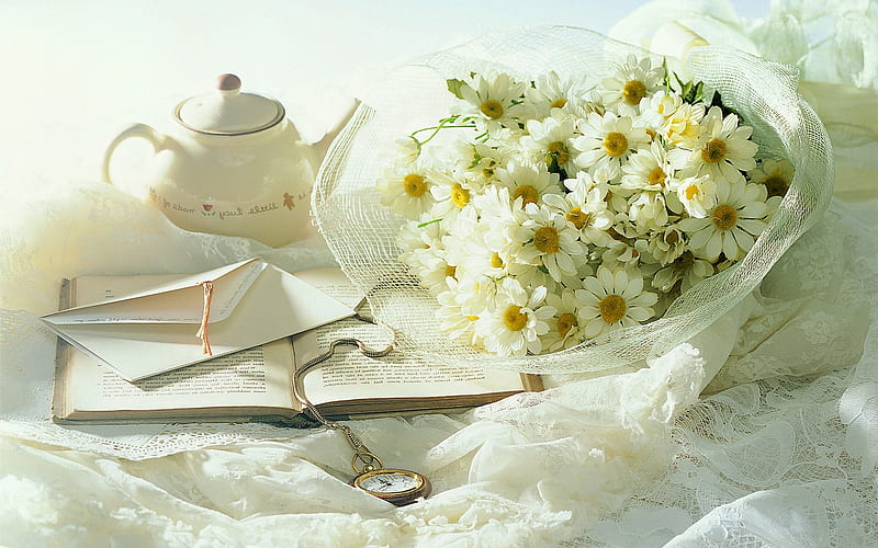 Daisies, good morning, pretty, book, tea, nice, flowers, beauty, morning, company, harmony, lovely, clocks, time, brightness, tea time, sunshine, tulle, white, daisy, books, linen, watches, bonito, seasons, camomile, still life, graphy, envelope, tea pot, letter, vintage, sunny day, clock, new day, soft, delicate, bouquet, warmth, timepiece, letters, nature, HD wallpaper