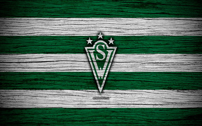 Santiago Wanderers FC logo, Chilean Primera Division, soccer, football club, Chile, Santiago Wanderers, wooden texture, FC Santiago Wanderers, HD wallpaper