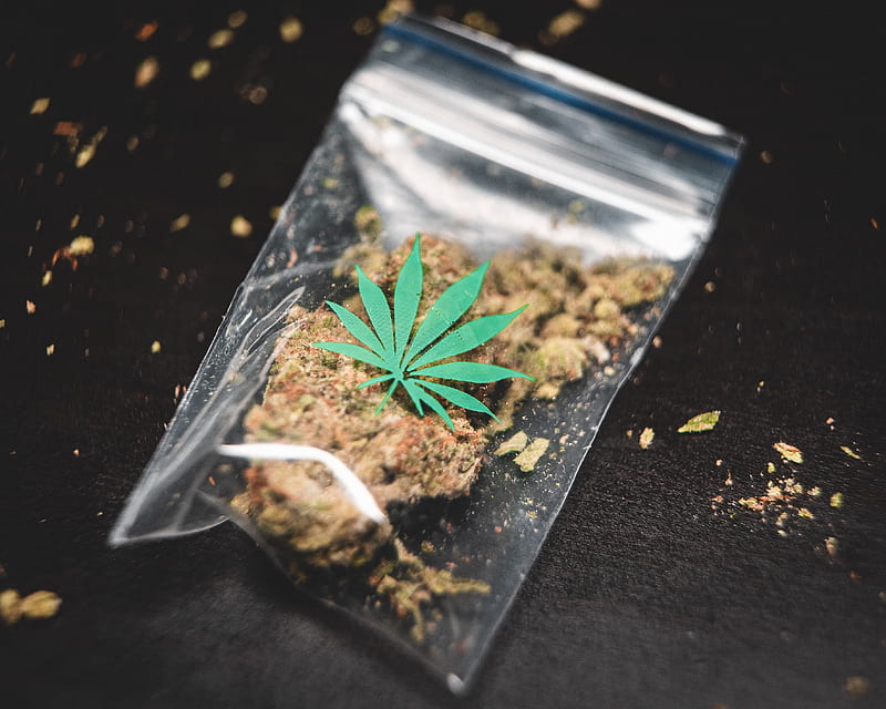 ground cannabis on clear plastic bag, HD wallpaper