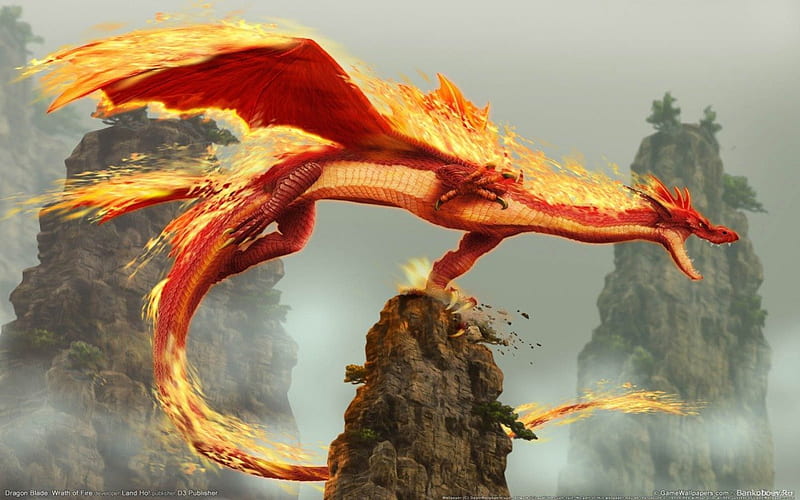 Guardian of home, fire dragon, drahon, goth, fire, fantasy, dark, fairy, HD wallpaper
