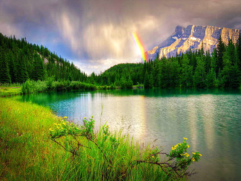 Rainbow over the pond, glow, grass, bonito, emerald, rainbow, sky ...