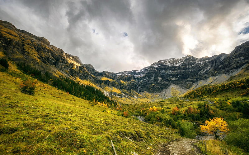 Hilterfingen, mountain landscape, green mountain slope, forest, Bern, Thun, Switzerland, HD wallpaper