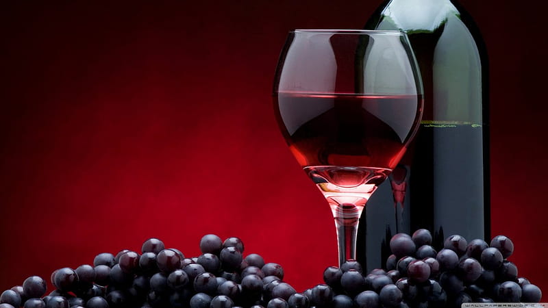 Red wine, red, autumn, harvest, wine, alcoholic, abstract, grape, graphy, drink, HD wallpaper