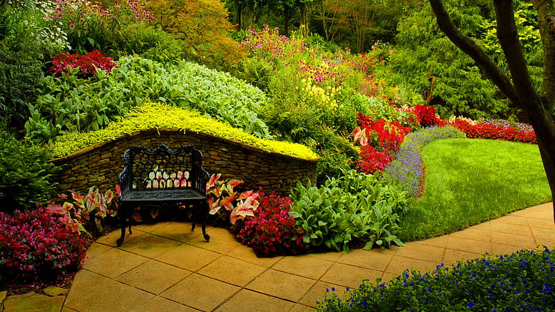 Garden With Plants And Chair Garden, HD wallpaper