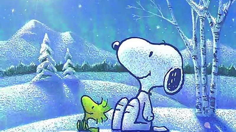 Snoopy Is Looking Up Snoopy Christmas, HD wallpaper