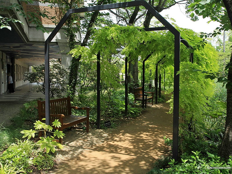 Park trails- Japanese garden art landscape, HD wallpaper