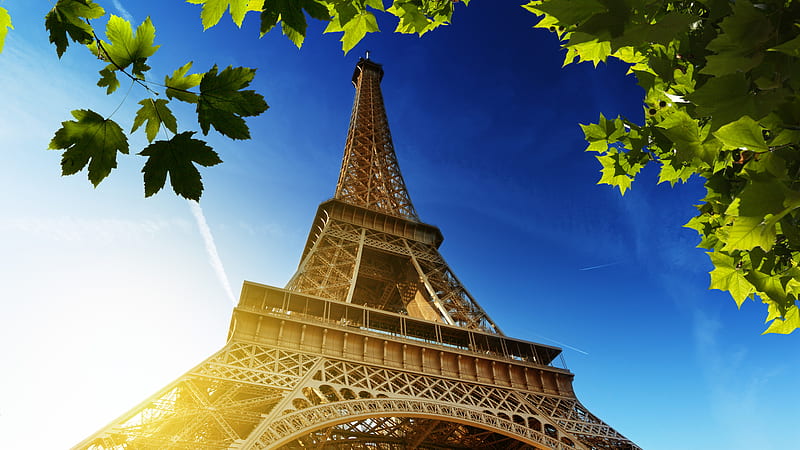 Upward View Paris Eiffel Tower With Blue Sky Background And Green Leaves Travel, HD wallpaper