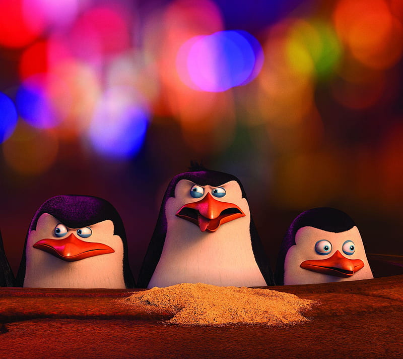 HD penguins of madagascar wallpapers | Peakpx