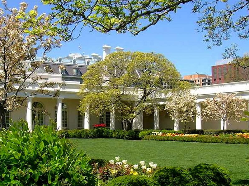 The White House Garden - Washington D.C., white house, formal, usa, washington, president, garden, HD wallpaper