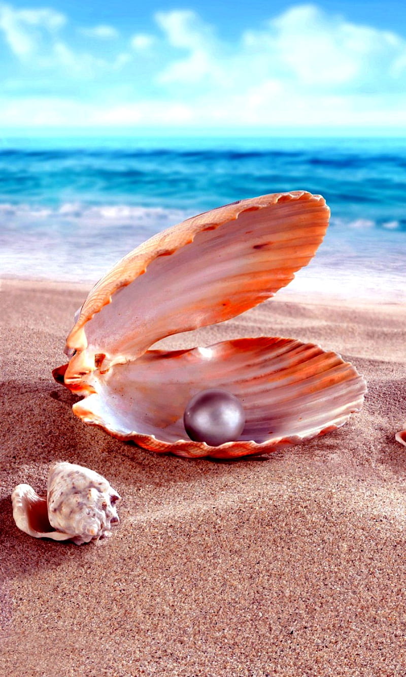 Pearl, sea, water, HD phone wallpaper