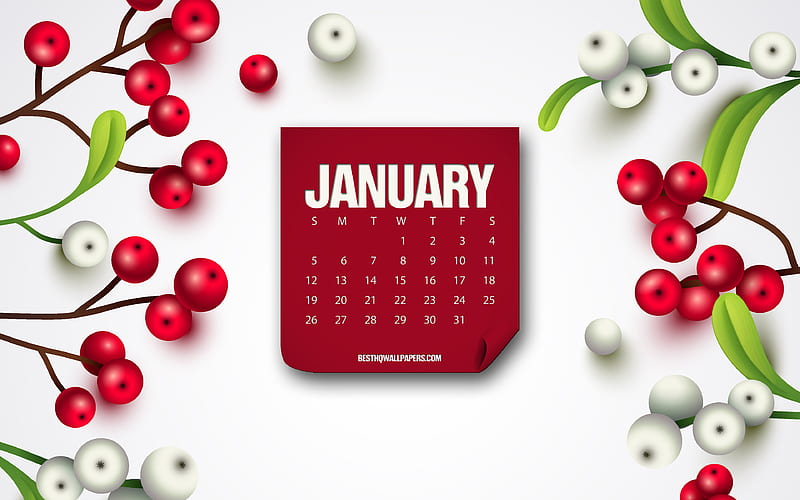 January 2020 Calendar, red paper, month calendar, January, background with berries, calendars, HD wallpaper