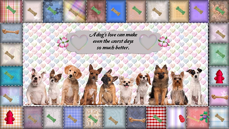 A Dog's Love, quilt, biscuits, toys, dogs, hydrant, HD wallpaper