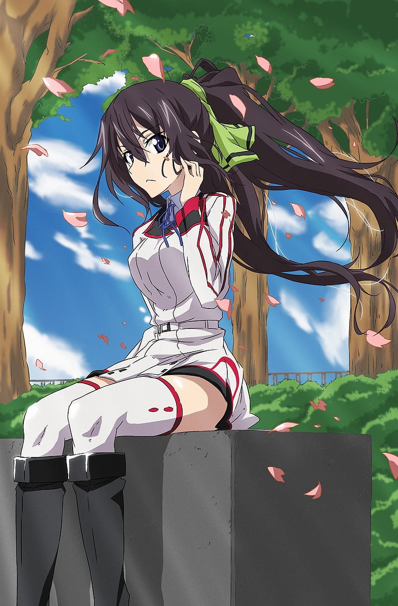 Infinite Stratos Season 1 Episode 11 Favorites  Crows World of Anime