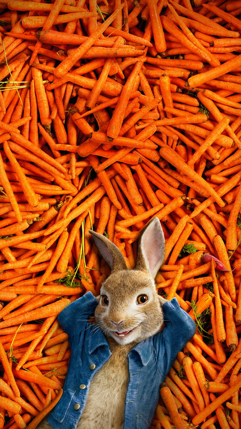 Peter Rabbit, carrots, cartoon, movie, HD phone wallpaper