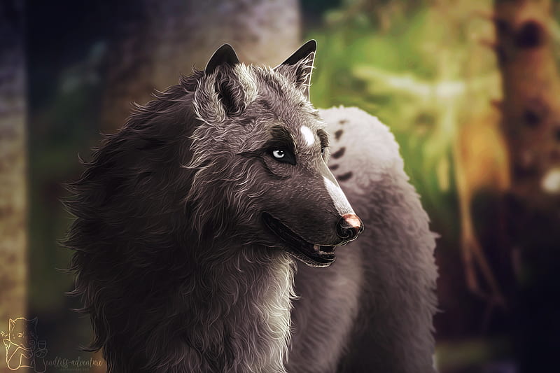 Wolf Artwork, wolf, artwork, artist, digital-art, HD wallpaper