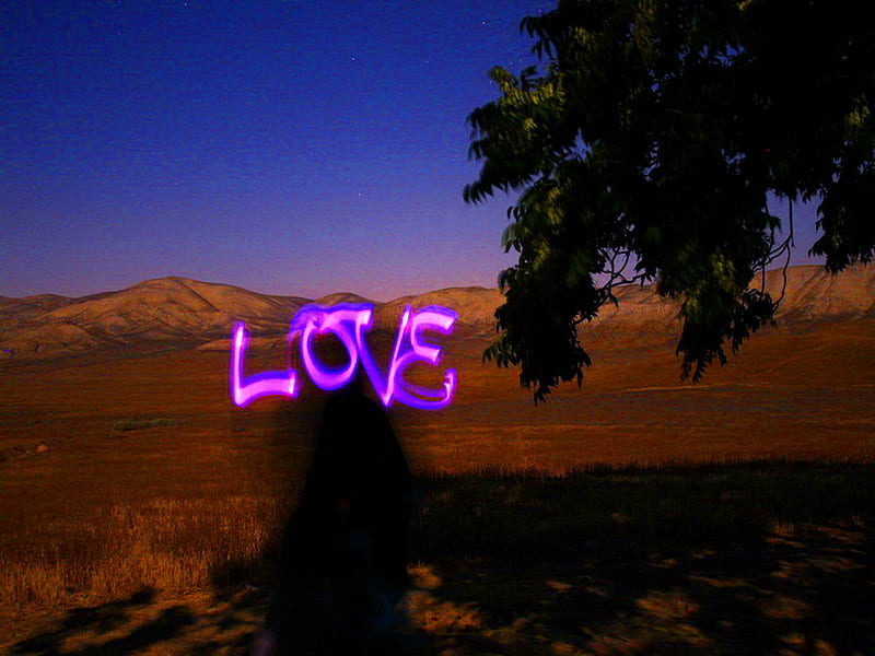 Love lights the way, tree, shadows, neon, word love, hill, pink, HD wallpaper