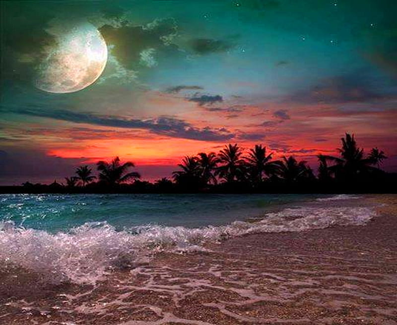 Beautiful Beach, beach, moon, waves, night, HD wallpaper
