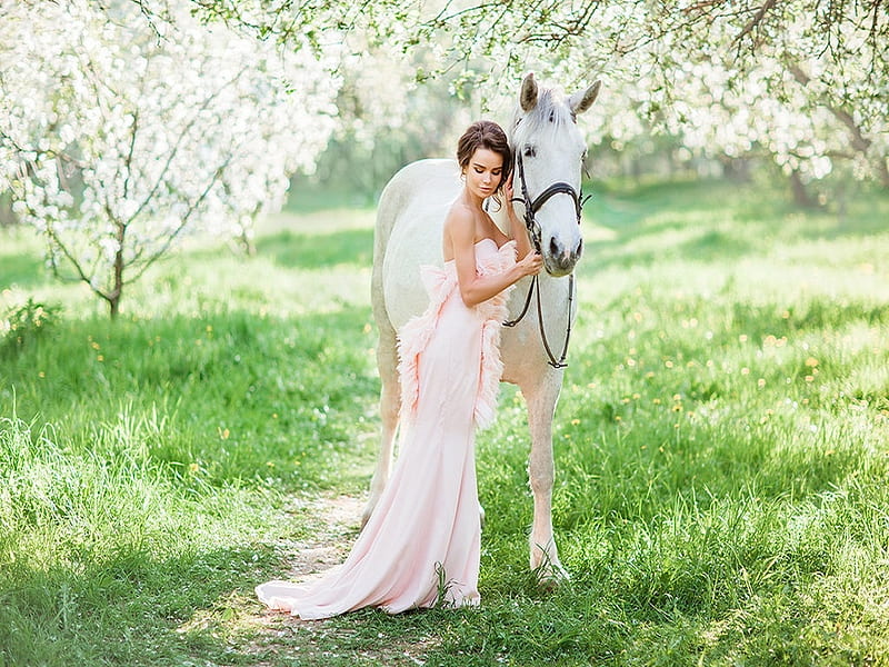 Spring Bride, grass, wedding dress, sunlight, bride, park, trees, horse, women, beauty, HD wallpaper