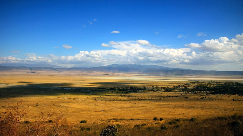 panorama view of a savannah, view, savannah, shadows, clouds, panorama, HD wallpaper