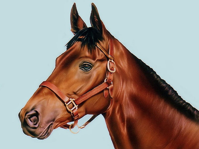 thoroughbred, art, horse, animals, HD wallpaper