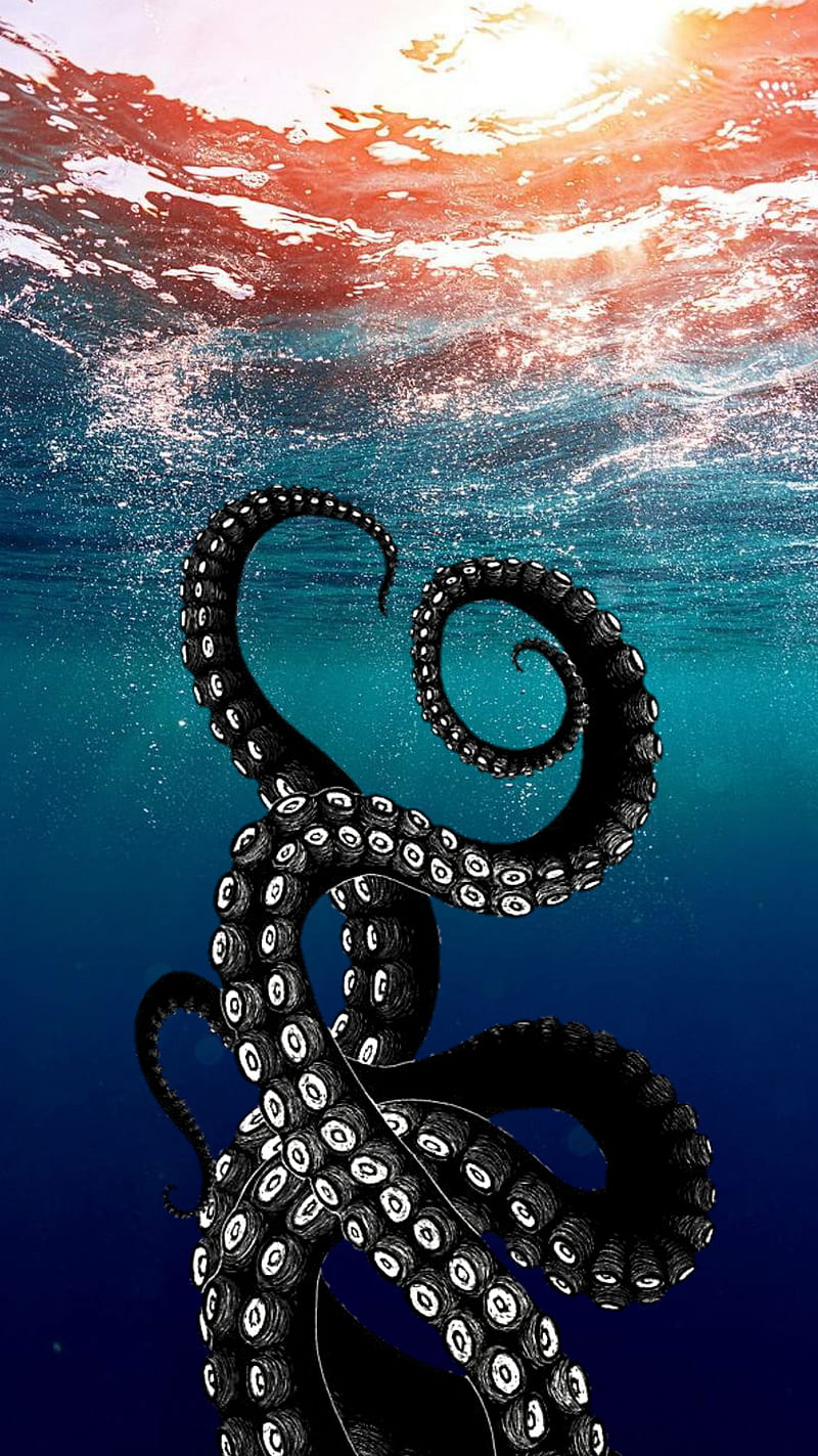 from the deep, background, blue, ocean, octopus, pretty, sea, tentacles, water, HD phone wallpaper