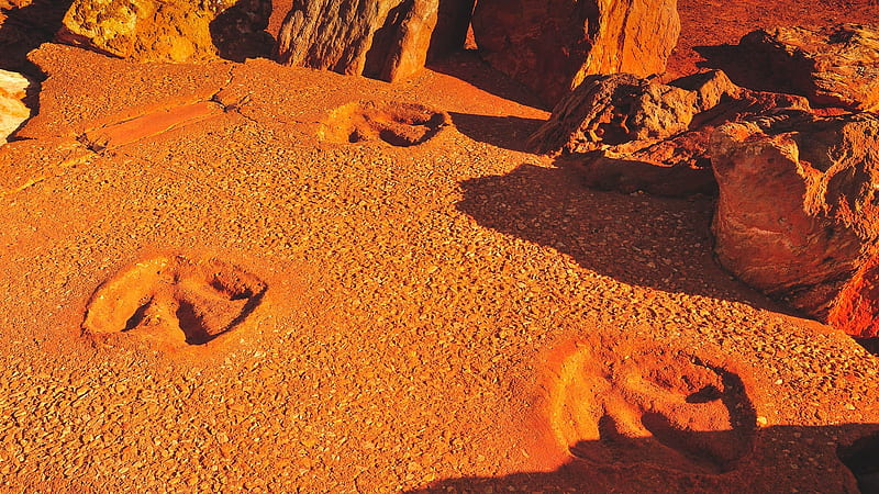 Dinosaur footprints, footprints, ancient, archeology, australia, dinosaur, HD wallpaper