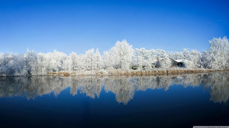 Panoramic, cold reflection, frost, forest sky, winter, lake, tree, water,  snow, HD wallpaper | Peakpx
