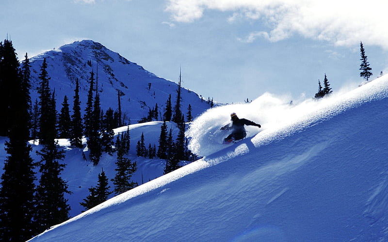 Utah-Brandon Skiing, HD wallpaper
